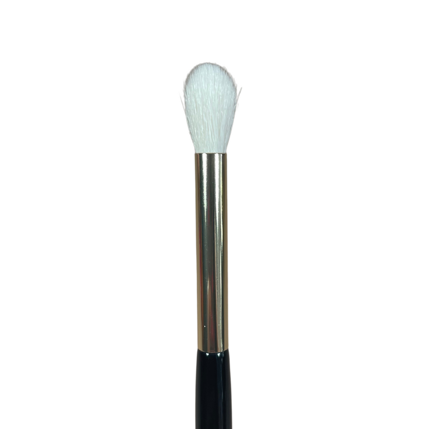 MC10 - Transition Blending Brush